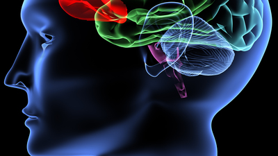 Başladıktan sonra geri dönüşü yok!