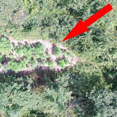 'Jandarmanın gözü' ormanda!