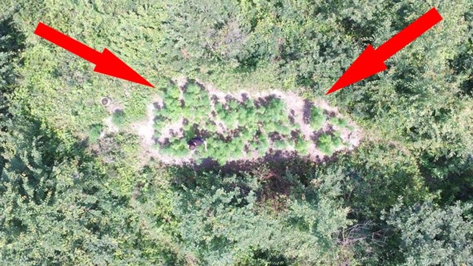 'Jandarmanın gözü' ormanda!