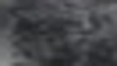 Göçmen kervanına yığınağın maliyeti 72 milyon dolar