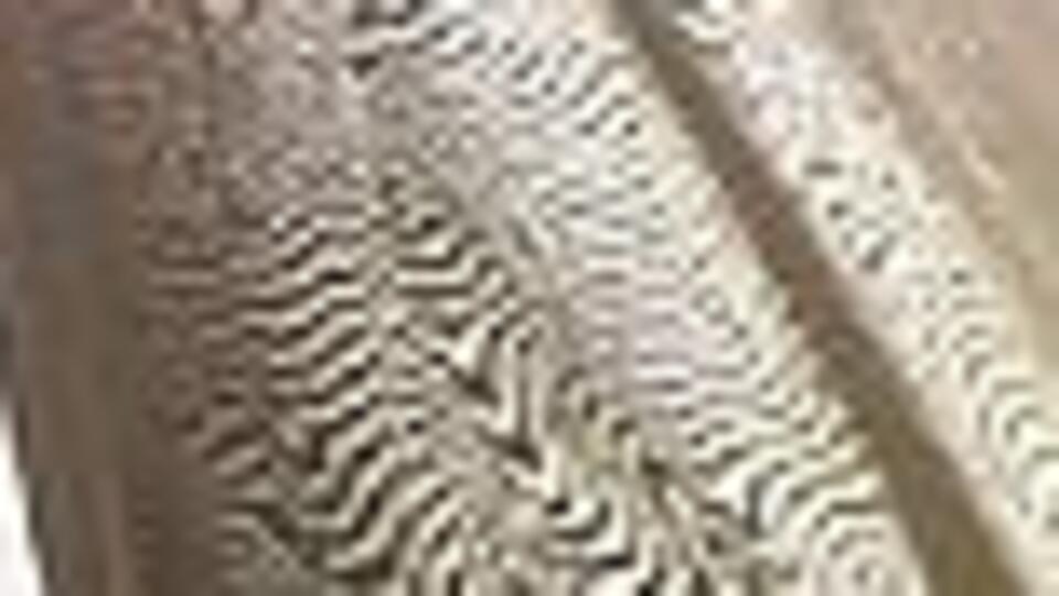 Uluslararası Af Örgütü: Suudi Arabistan'da aktivistlere işkence var