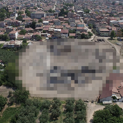 Bursa'nın göbeğinden çıktı! Başka örneği yok!