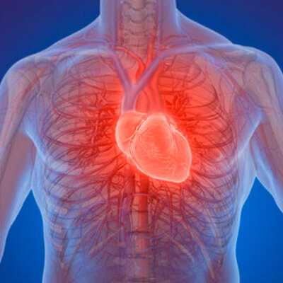 24 saat kalbimizi izliyorlar!