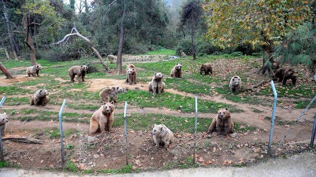 Herkesin gözü onlarda! Geçen yıl unutmuşlardı...