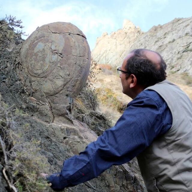 70 milyon yıldır orada duruyor! Müzeye koyulacaktı ama...