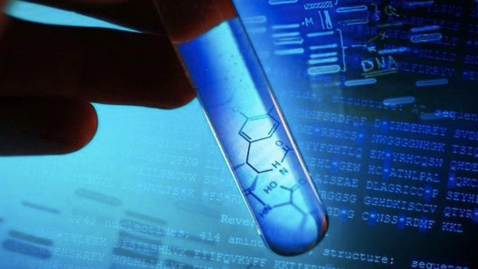 DNA testleri de Black Friday ile indirime gitti!