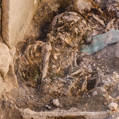 Van'da bulunan iskeletlerin sırrı çözüldü!