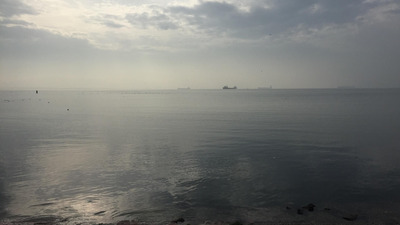 İzmit Körfezi alarm veriyor