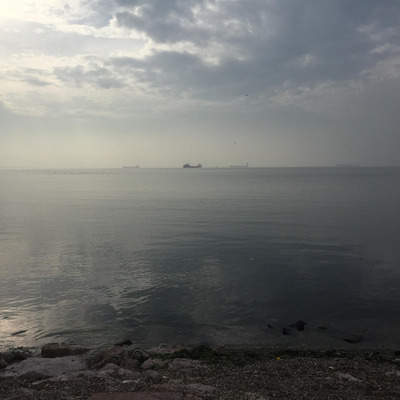 İzmit Körfezi alarm veriyor