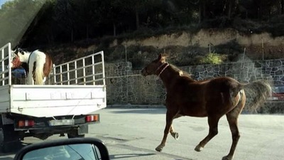 Bu görüntüye tepki yağdı!