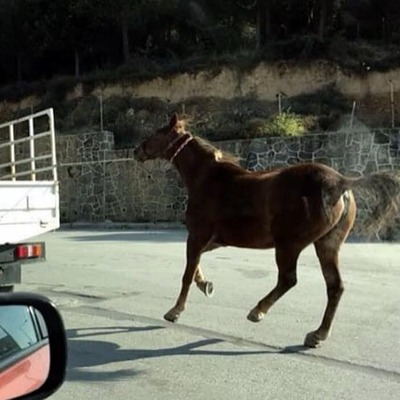 Bu görüntüye tepki yağdı!