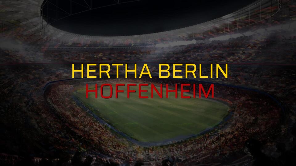 Hertha Berlin: 3 - Hoffenheim: 3 (Maç sonucu)