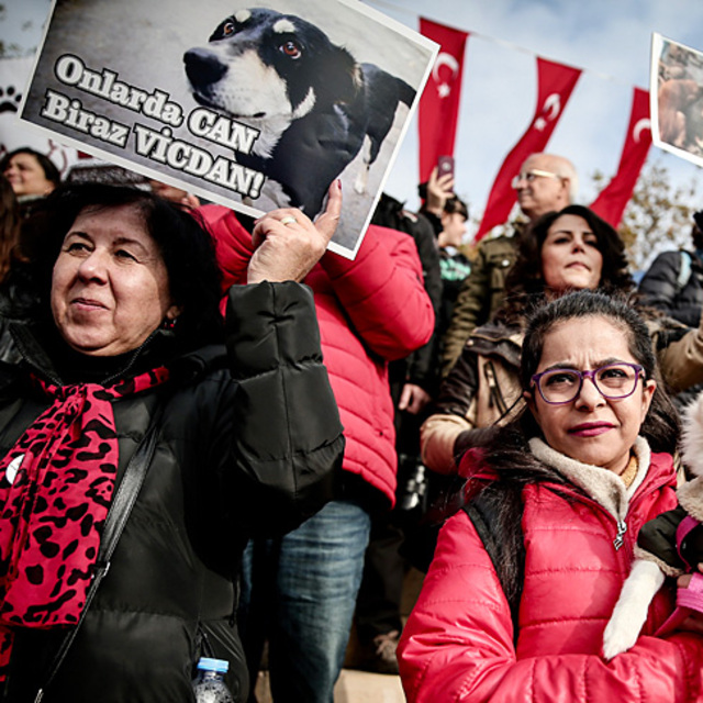 Hayvan hakları için eylem yaptılar