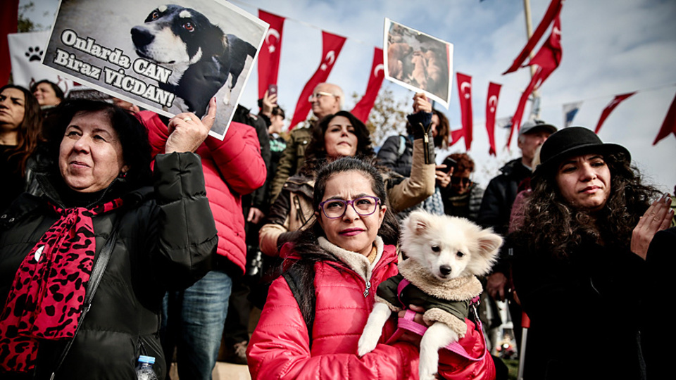 Hayvan hakları için eylem yaptılar