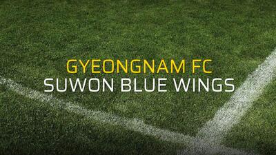 Gyeongnam FC: 2 - Suwon Blue Wings: 1
