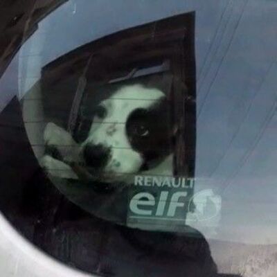 Vicdansızlığı okula giden çocuklar fark etti