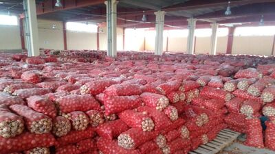 Baskında ele geçirildi! Tam 1300 ton