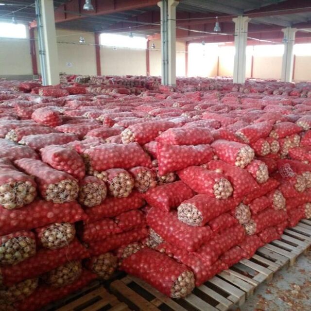 Baskında ele geçirildi! Tam 1300 ton