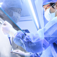 Genetiği değiştirilmiş ilk bebekler Çin'de doğdu