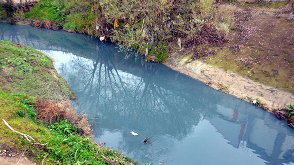 Ayda bir renk değiştiriyor