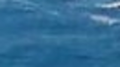 NATO'dan Rusya'ya uyarı!