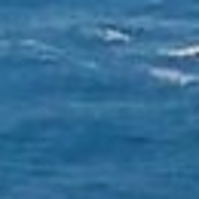 NATO'dan Rusya'ya uyarı!