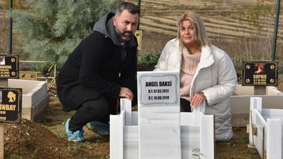 2 bin 500 km yol katedip Angel'a geldiler... Hayvan sevgisi!