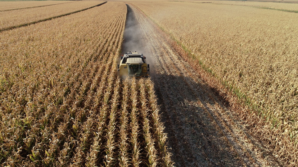 Tarımsal üretim ve ihracat desteklerle büyüyecek