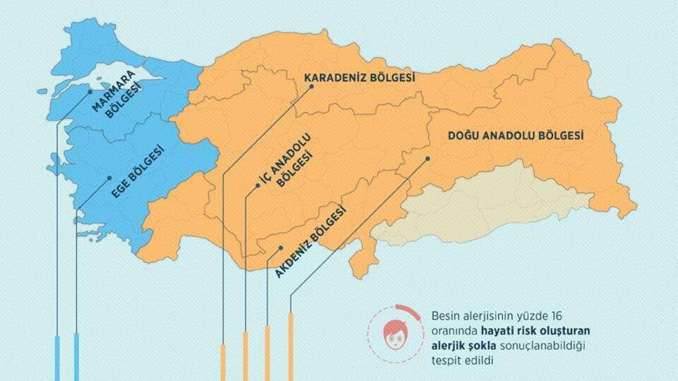 Türkiye'nin 'besin alerjisi haritası' çıkarıldı
