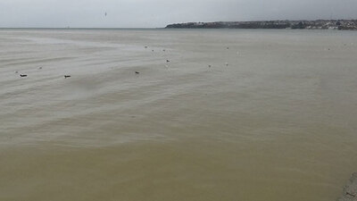Marmara Denizi'ne çamur aktı