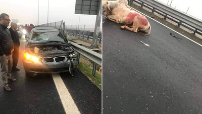 Karayolunda dehşete düşüren olay!