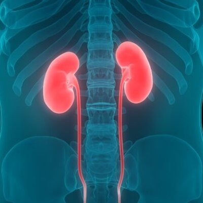 Bu kurallara uymamak böbrekleri bitiriyor!