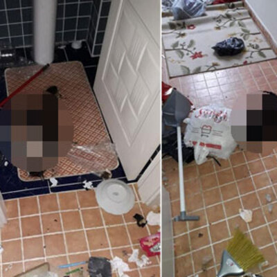 Sevgilisi terk etti, acısını onlardan çıkarttı