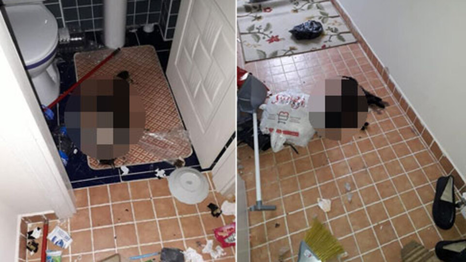 Sevgilisi terk etti, acısını onlardan çıkarttı