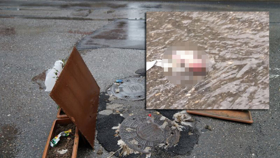 Korkunç! Taşan kanalizasyondan çıktı