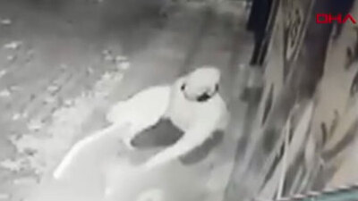 Görüntüleri izleyen belediye başkanı onu bulmak istiyor