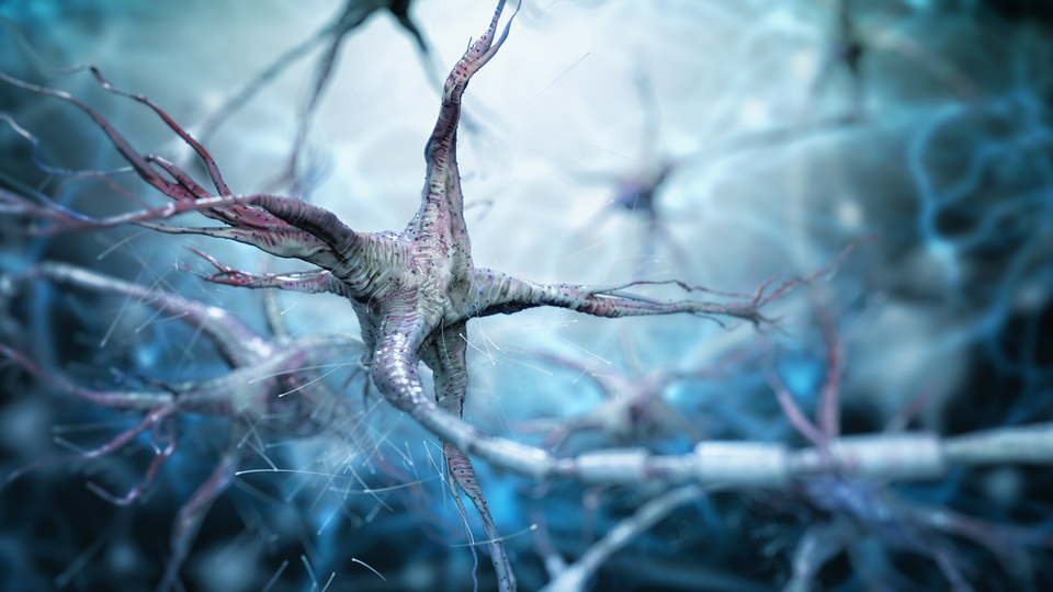 'Tıp dünyasında çığır açacak'