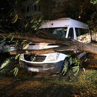 Kadıköy'de ağaç minibüsün üstüne devrildi