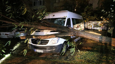 Kadıköy'de ağaç minibüsün üstüne devrildi