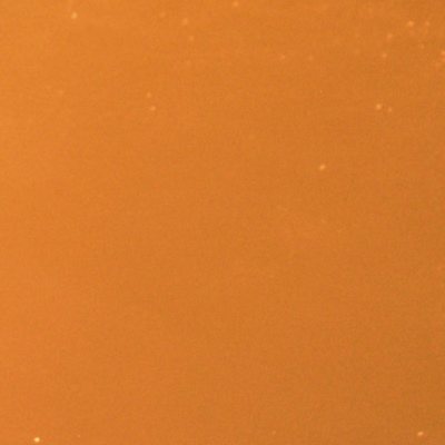 Rus vatandaşlarının ülkeye girişini yasakladılar