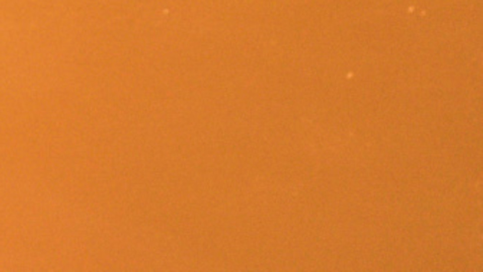 Rus vatandaşlarının ülkeye girişini yasakladılar