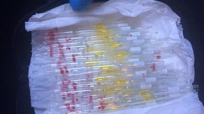 Tek damlasıyla bir fili 8 saniyede öldürüyor!