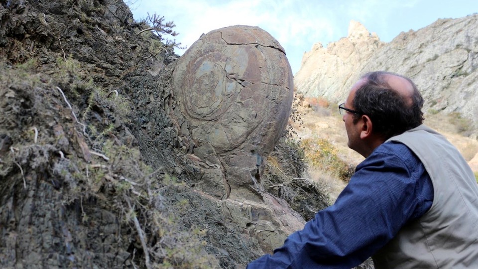 70 milyon yıldır orada duruyordu! Parçaladılar