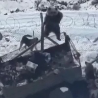 Askeri üs bölgesine böyle girdi