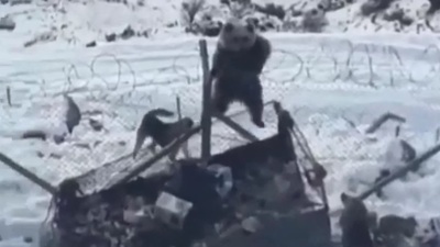 Askeri üs bölgesine böyle girdi