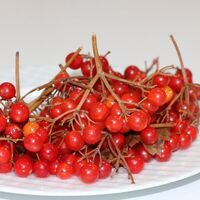 Bu meyve kanserden koruyor!