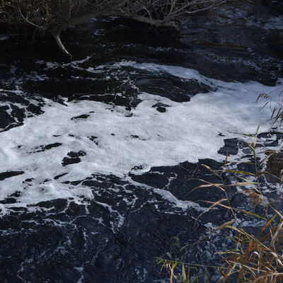 Gaziantep'teki Karasu Çayı renk değiştirdi