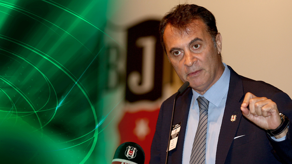 "Bu cezalandırma adalete müdahaledir"