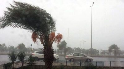 Akdeniz'i yağış, Doğu'yu don vurdu!