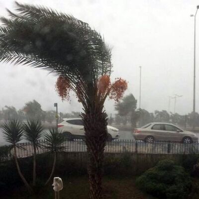 Akdeniz'i yağış, Doğu'yu don vurdu!